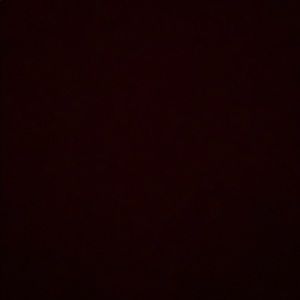 Meet your Posher, Anastasia